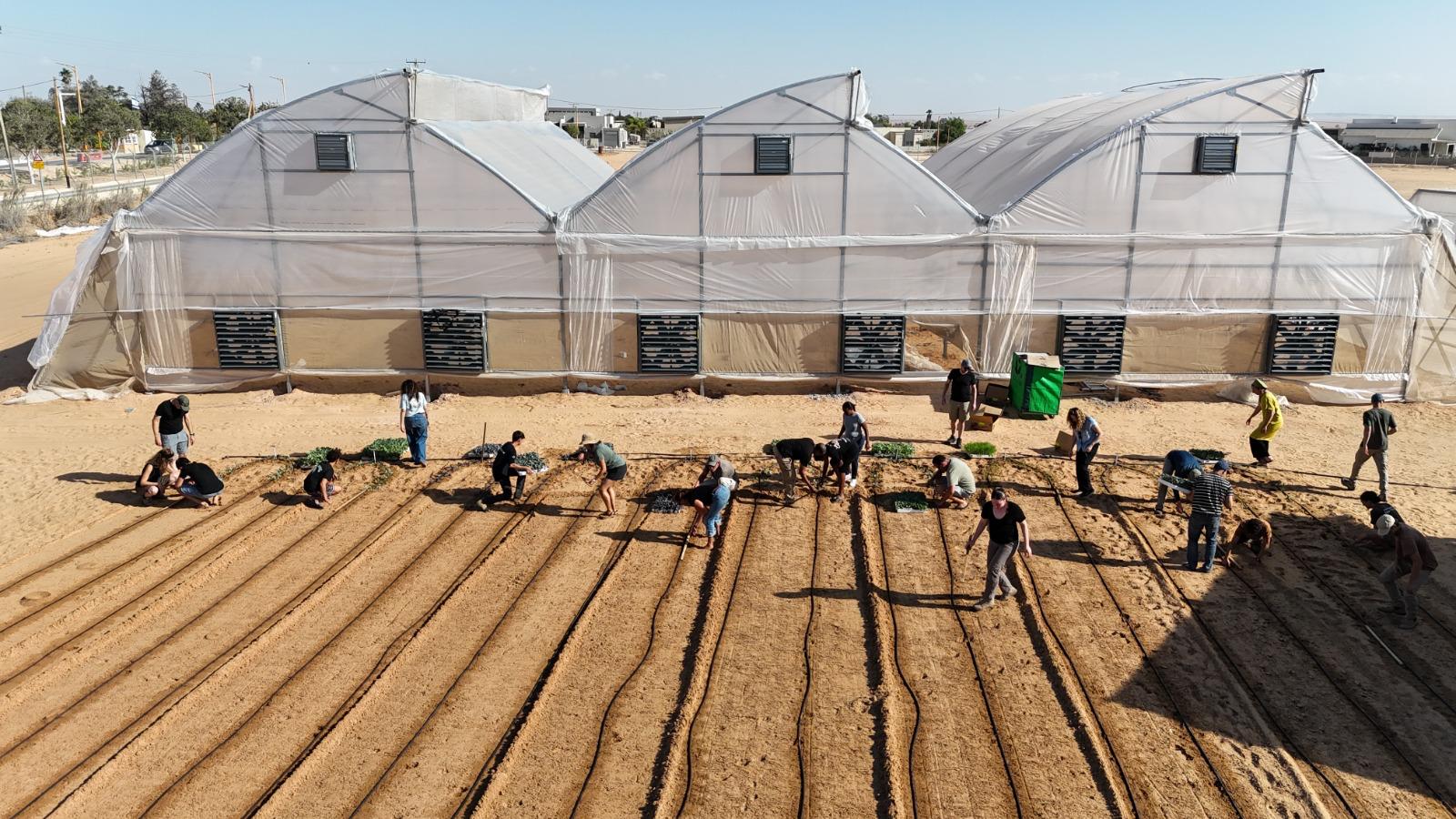 Greenhouse classroom